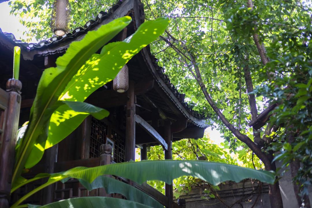 Photo of Others in Yongding