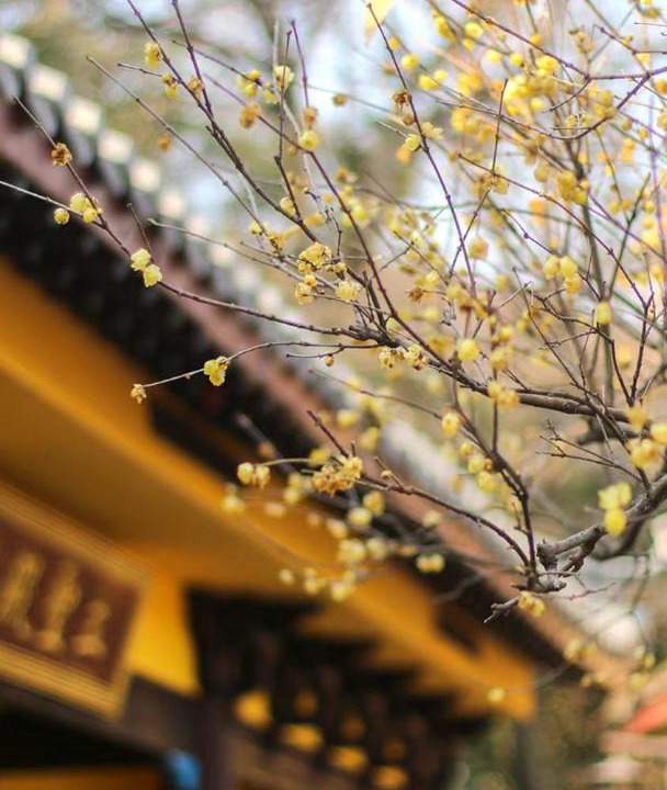 Photo of Others in Guilin City Centre