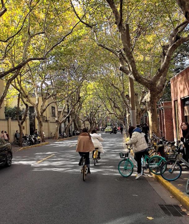 Photo of Others in Xuhui
