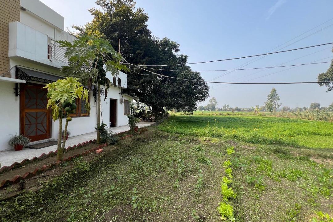 Photo of Others in Pauri