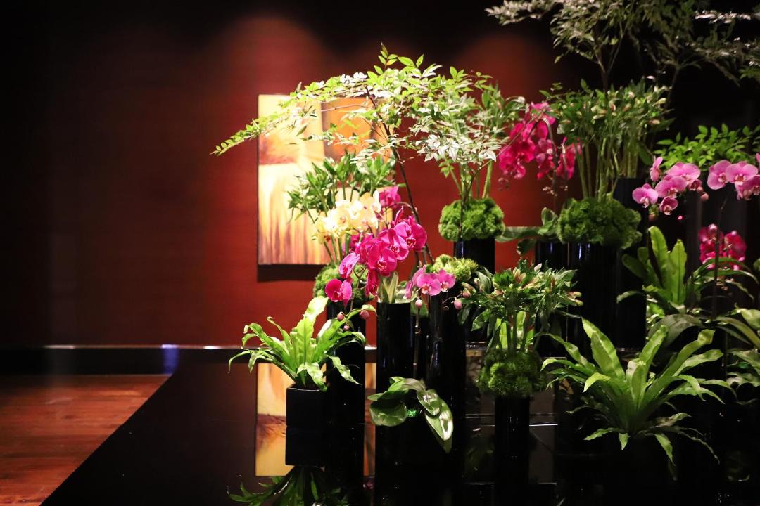 Photo of Others in Shuangjing