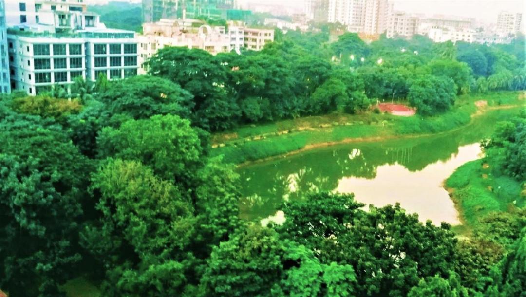 Photo of Others in Gulshan