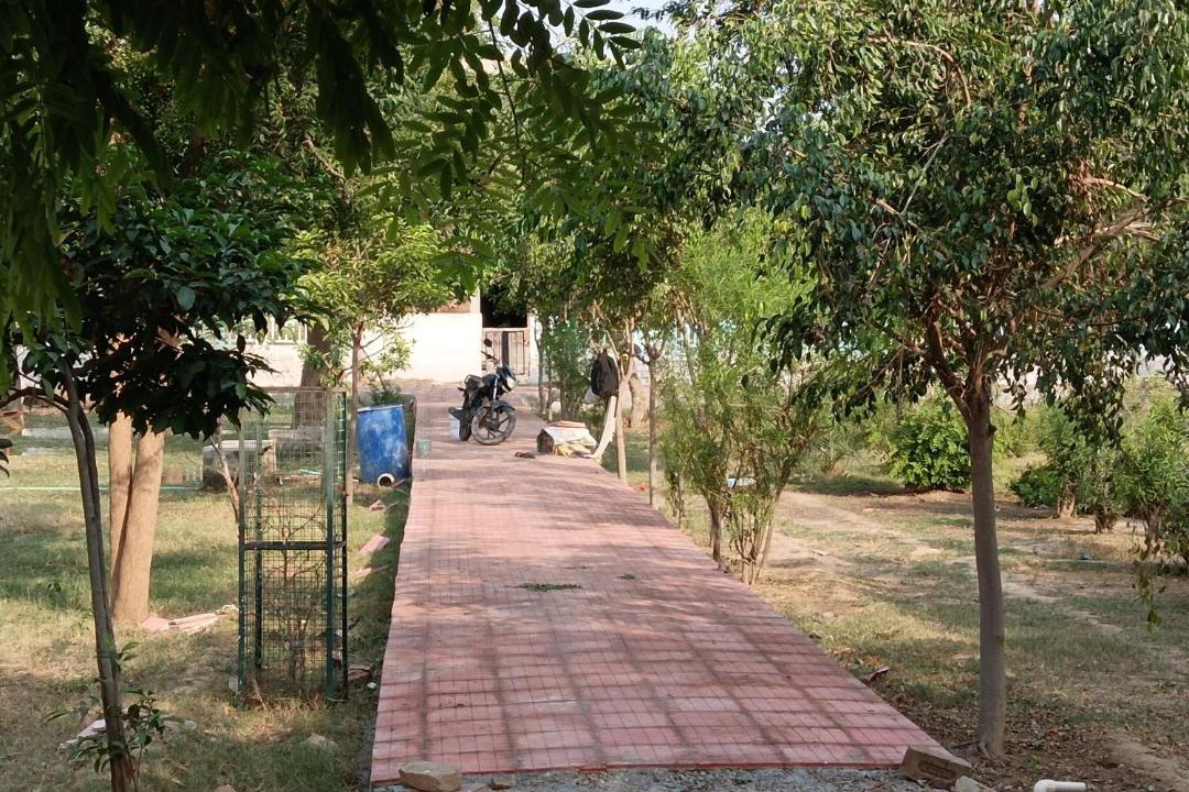 Photo of Others in Vrindavan