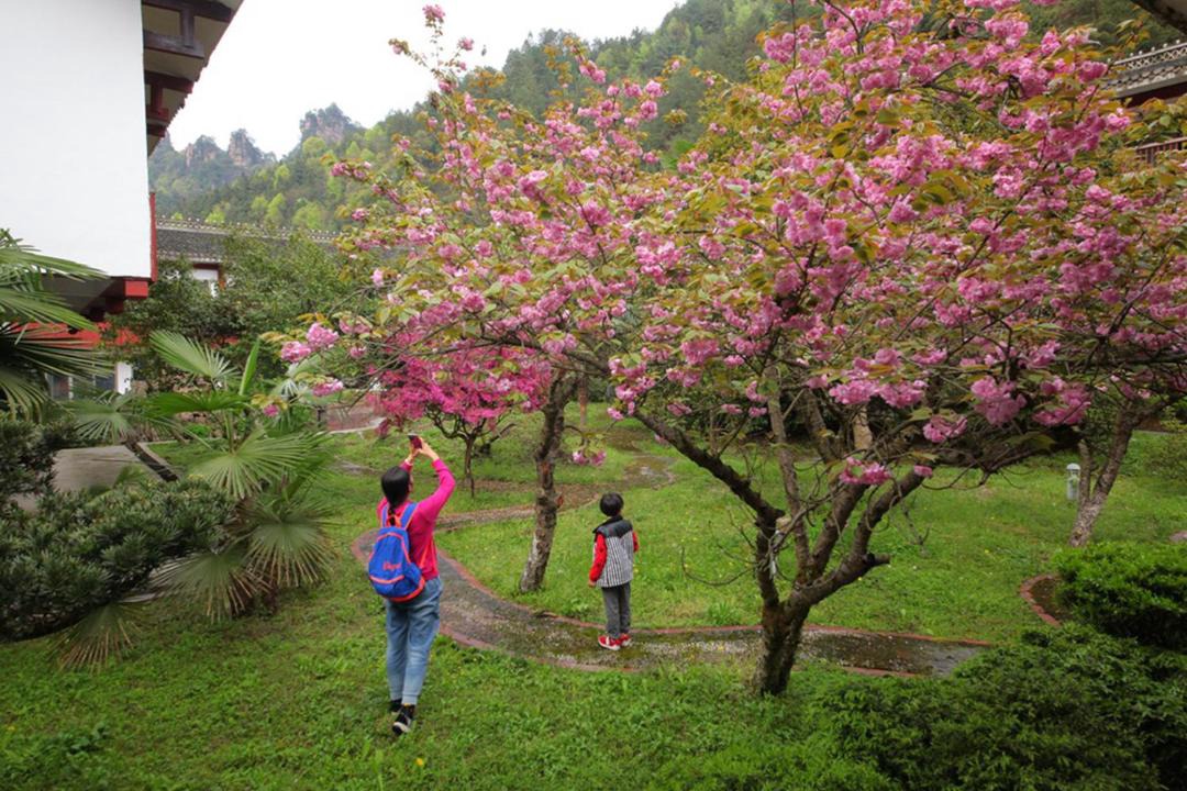 Photo of Others in Chaqiyu