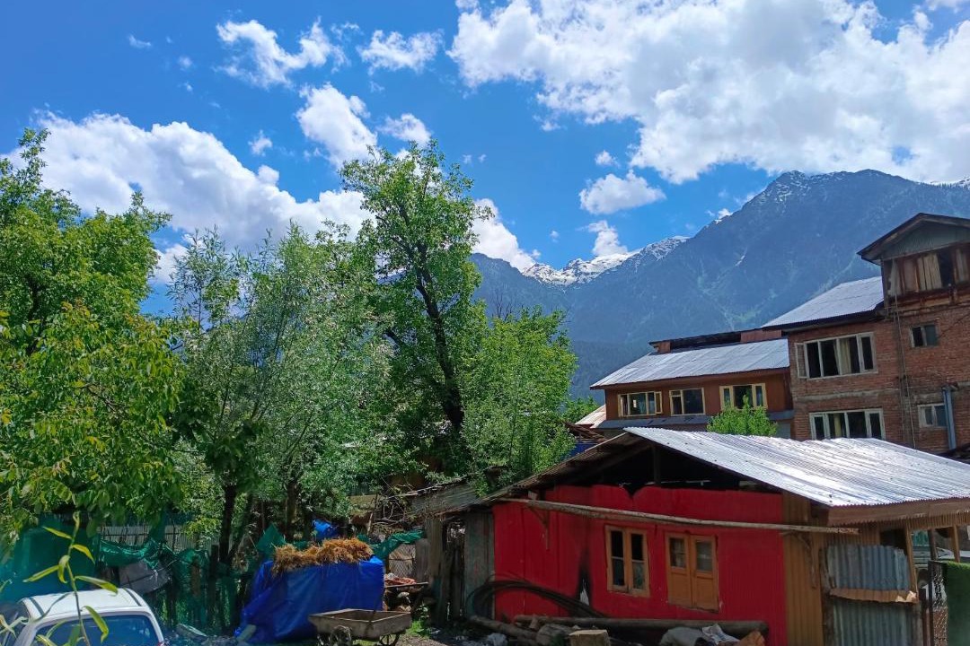 Photo of Others in Laripora