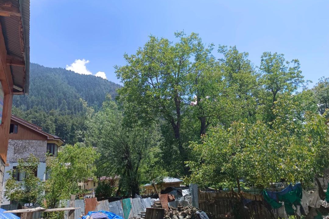 Photo of Others in Laripora