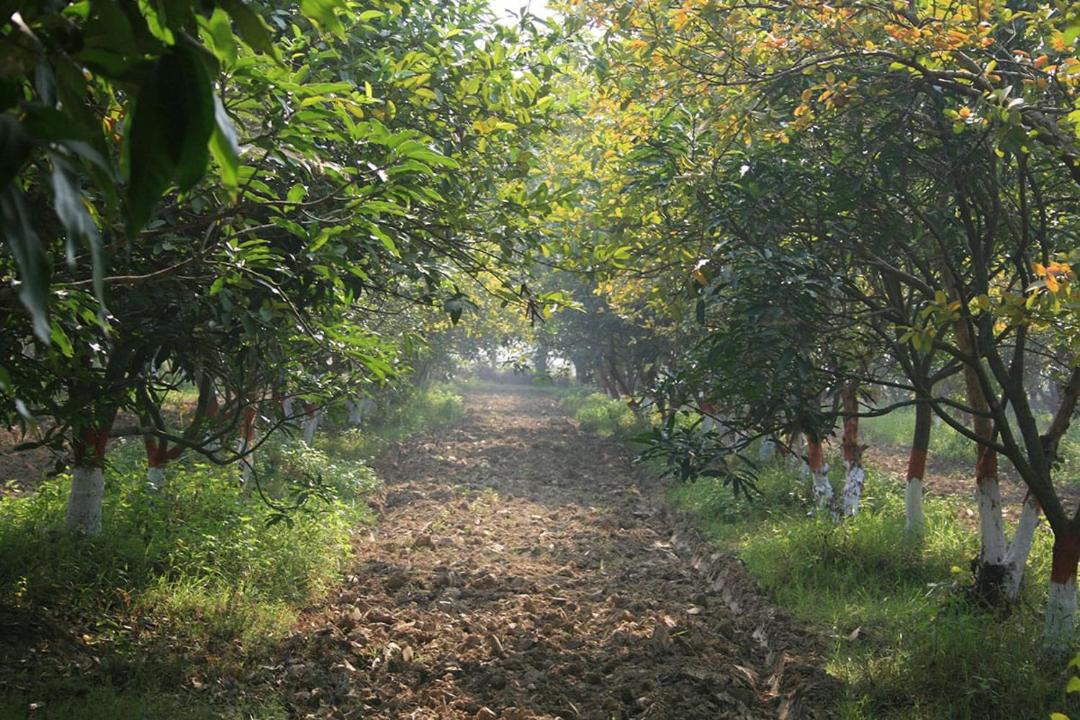 Photo of Others in Lakhimpur