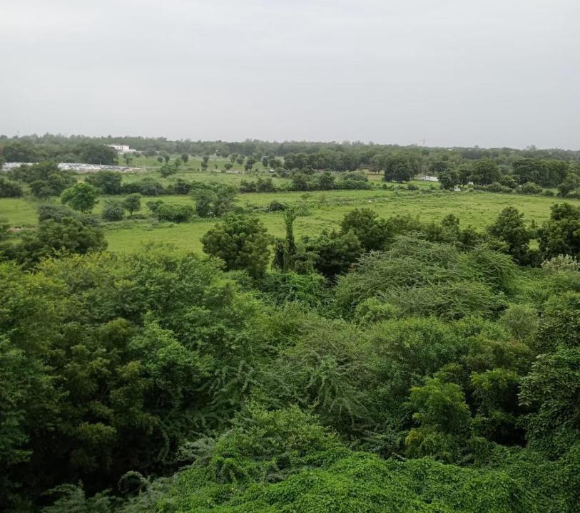 Photo of Others in Vrindavan