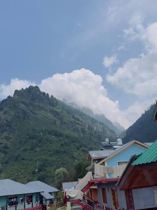 Photo of Others in Manali