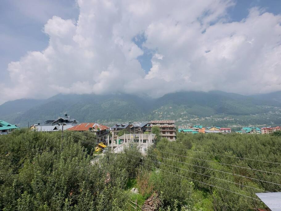 Photo of Others in Manali
