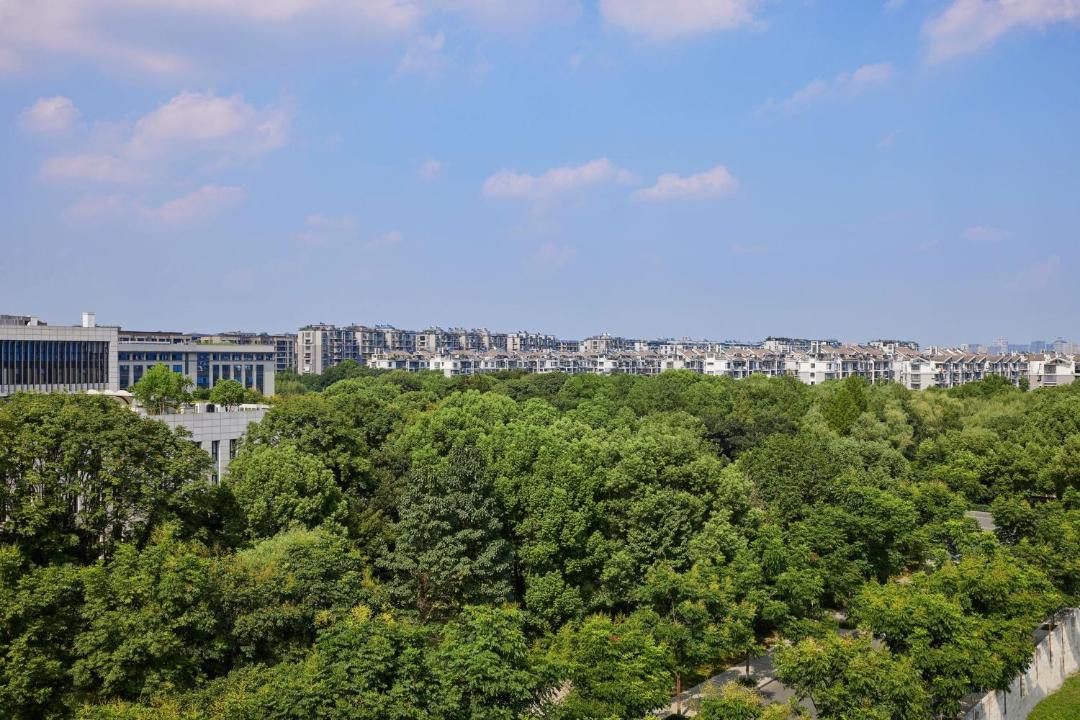 Photo of Others in Xihu