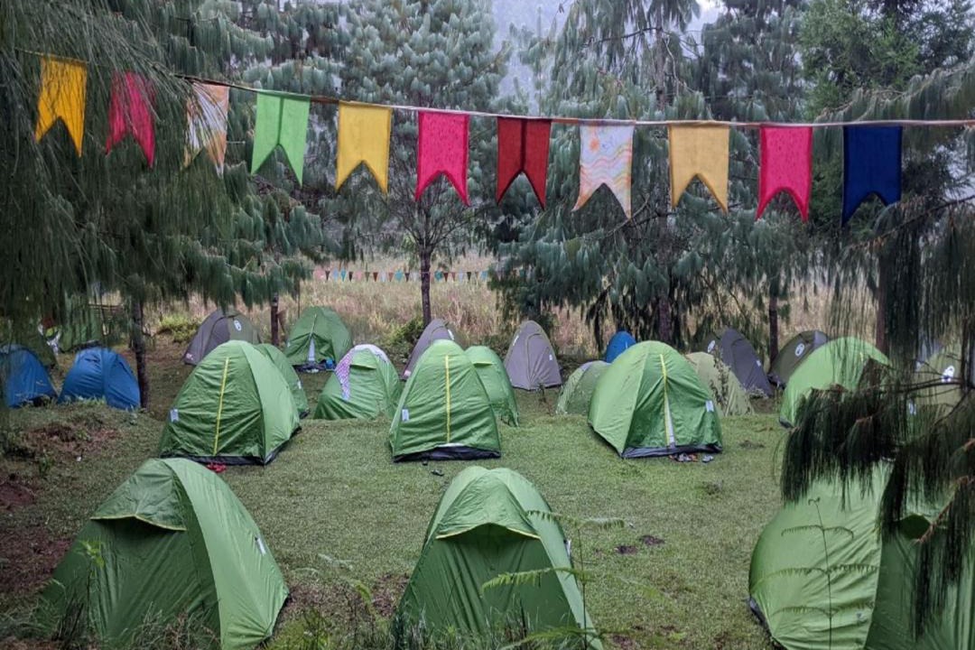 Photo of Others in Ziro