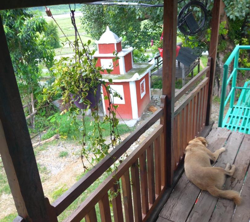 Photo of Patio Balcony in Gandaki Zone