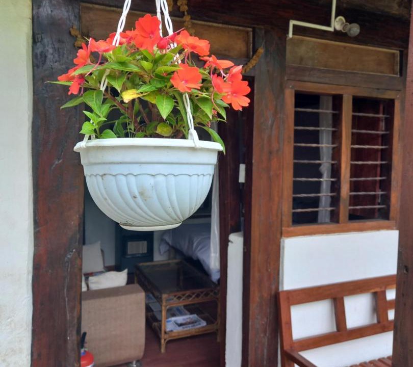 Photo of Patio Balcony in Gandaki Zone