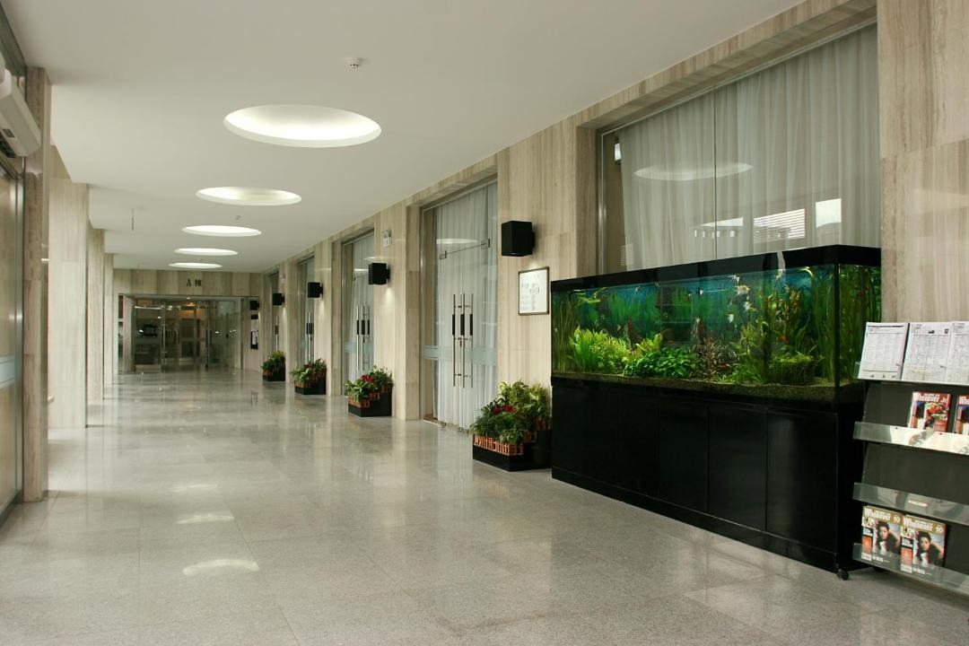Photo of Others in Middle Chaoyang