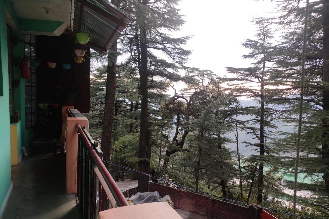 Photo of Others in McLeod Ganj