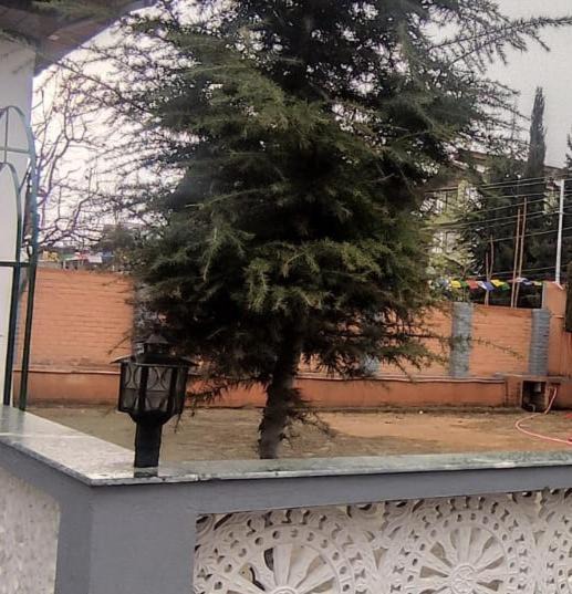 Photo of Others in Sonwar Bagh