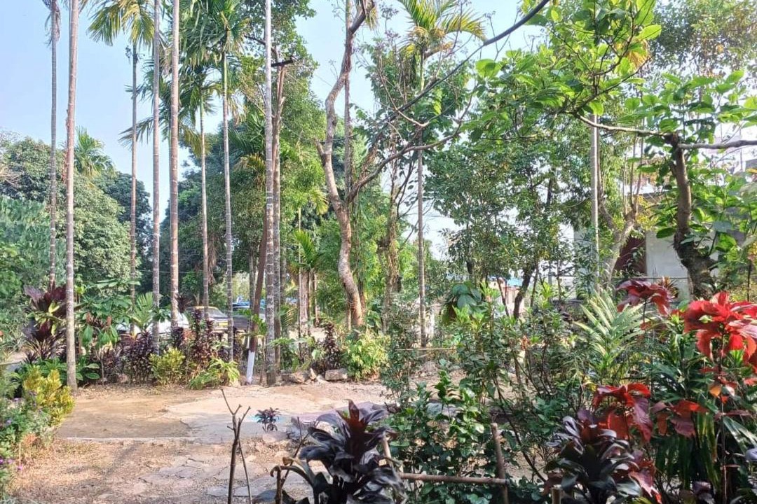 Photo of Others in Mawlynnong