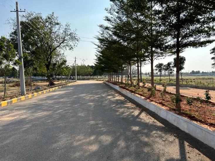 Photo of Outdoor in Aligarh