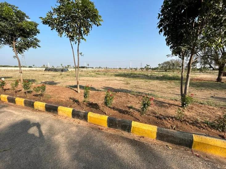 Photo of Outdoor in Aligarh