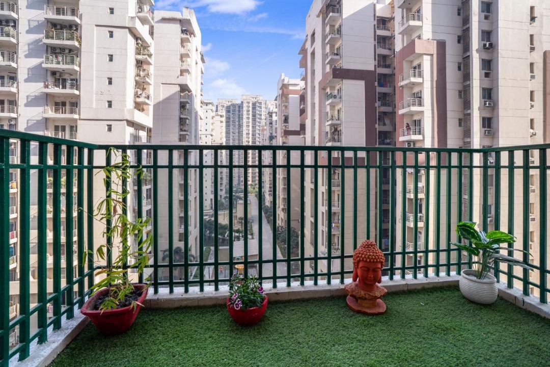 Photo of Buildings in Noida