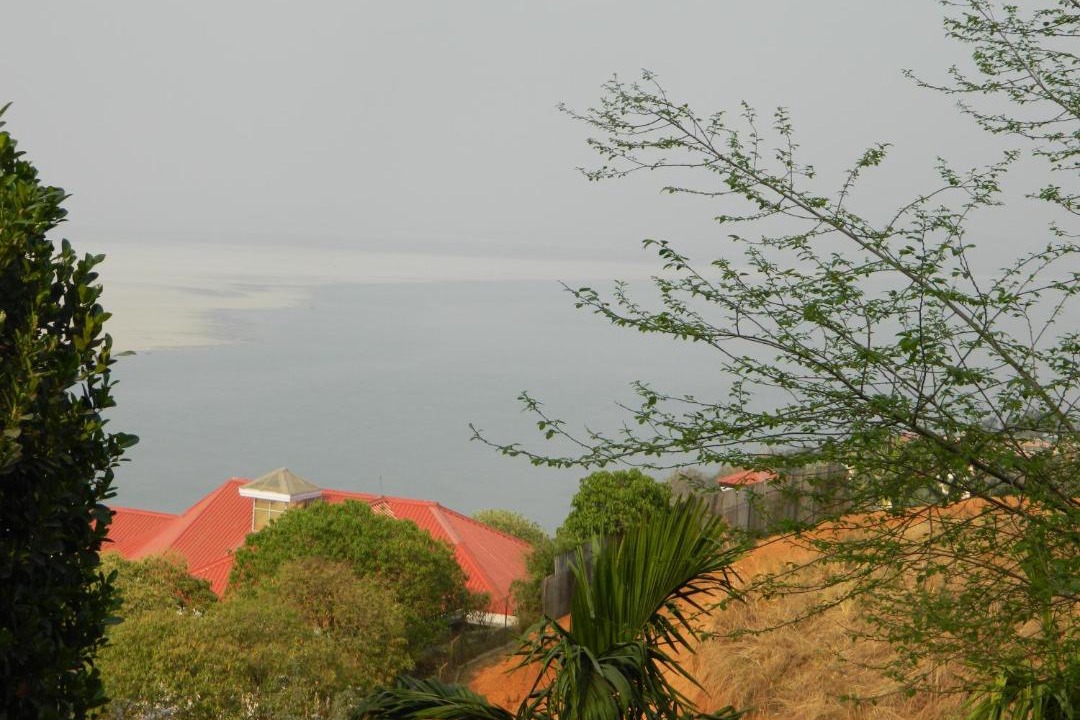 Photo of Others in Sualkuchi