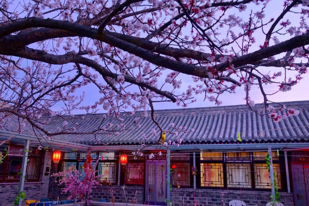 Photo of Others in Badalingzhen