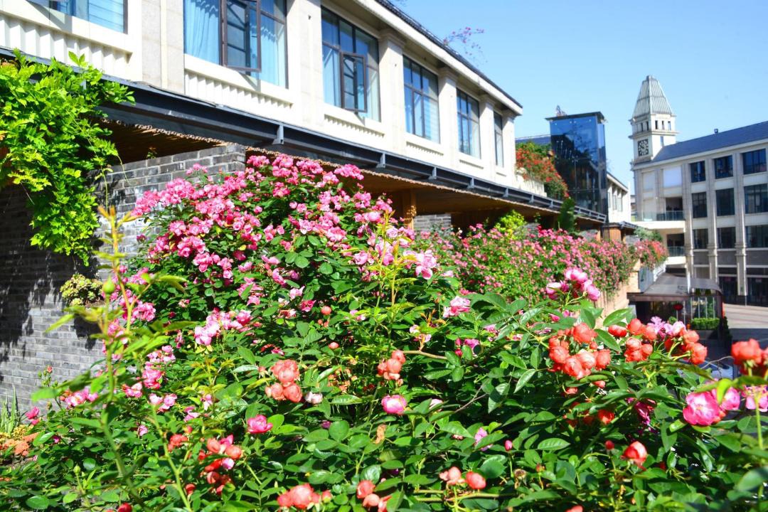 Photo of Buildings in Qianwei County