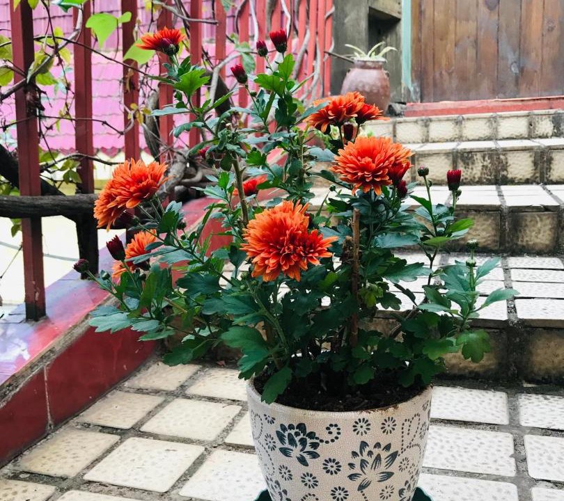 Photo of Patio Balcony in Kunming City Centre