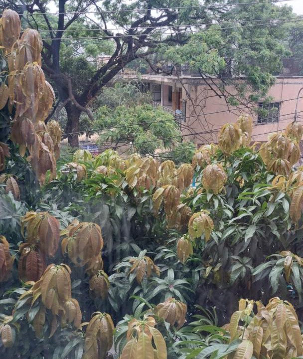 Photo of Others in Dhaka