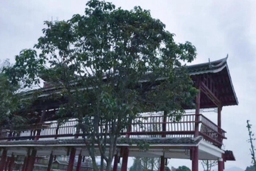 Photo of Others in Rongjiang
