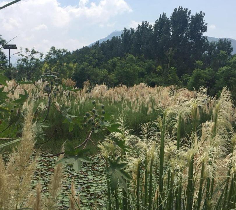 Photo of Others in Liangshan Yi