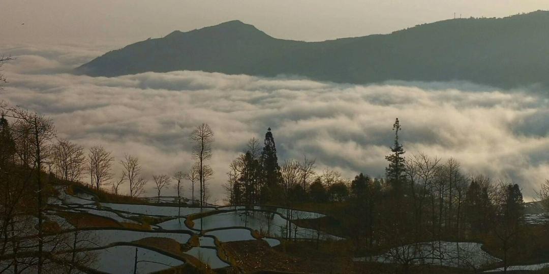 Photo of Others in Honghe