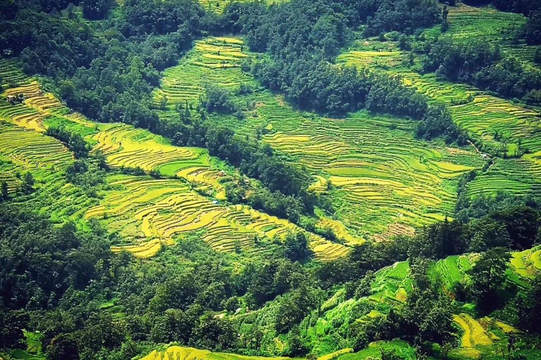 Photo of Others in Honghe