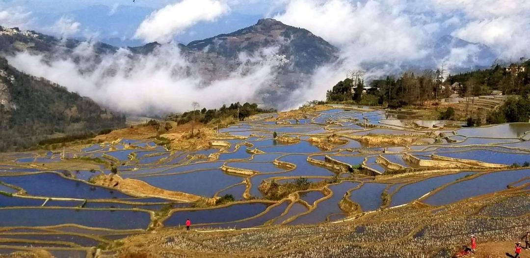 Photo of Others in Honghe