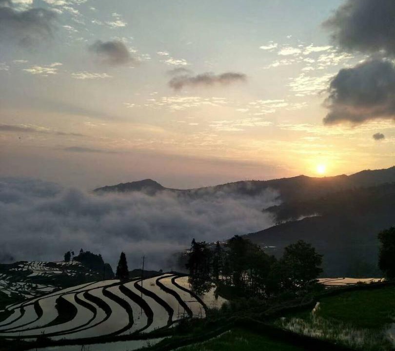 Photo of Others in Honghe