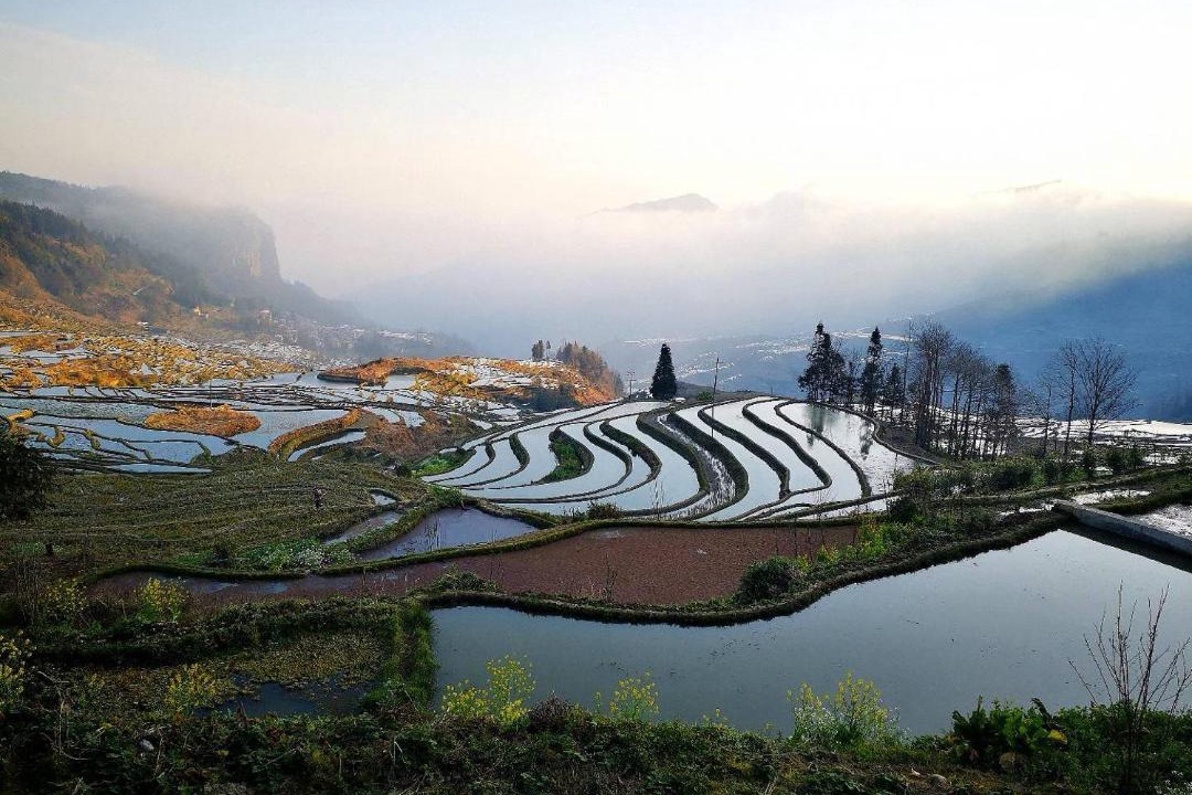 Photo of Others in Honghe