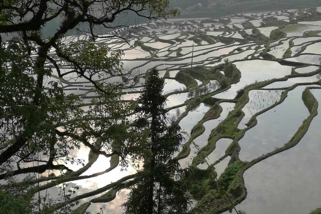 Photo of Others in Honghe