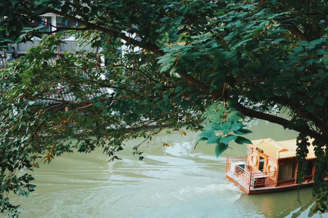 Photo of Others in Qinhuai Qu