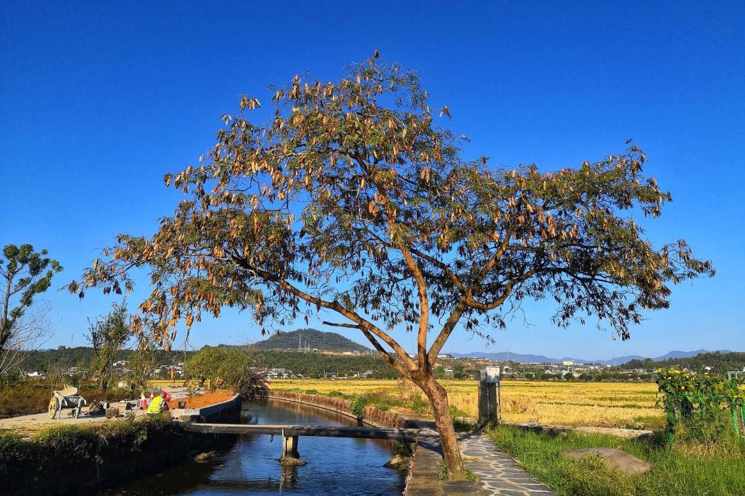 Photo of Outdoor in Heshun