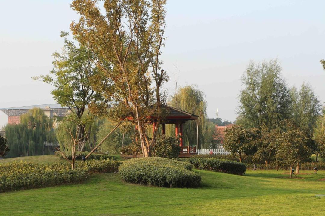 Photo of Others in Qufu