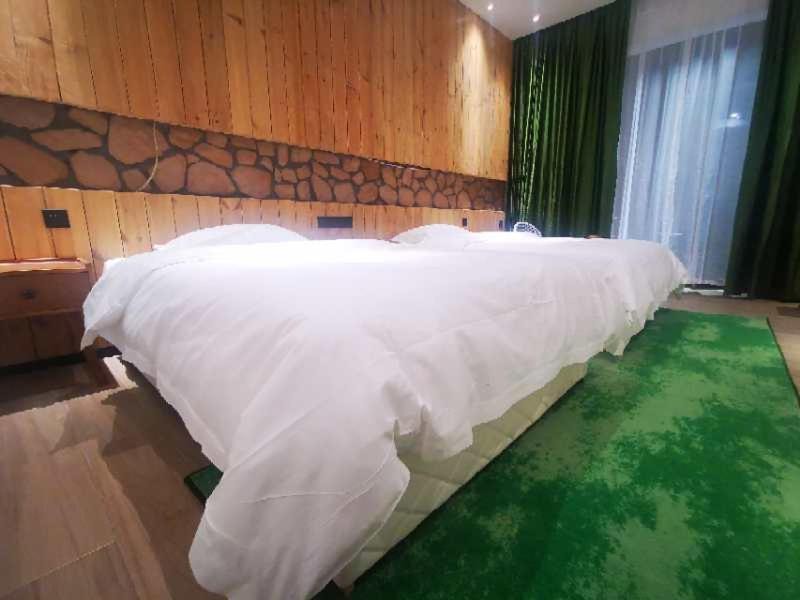 Photo of Bedroom in Xinyuan