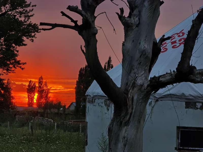 Photo of Others in Xinyuan