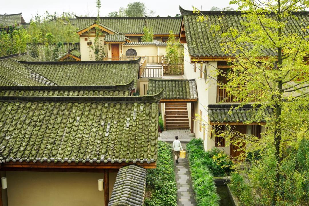 Photo of Others in Dujiangyan