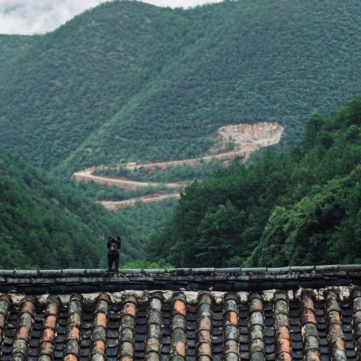 Photo of Others in Yulong