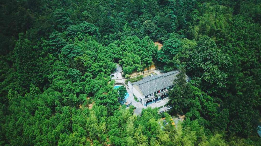 Photo of Others in Moganshan