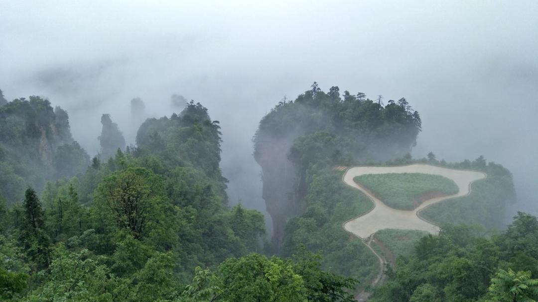 Photo of Others in Wulingyuan