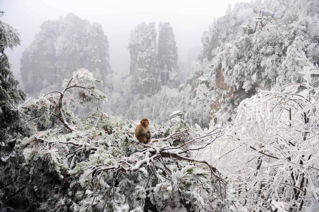 Photo of Others in Yongding