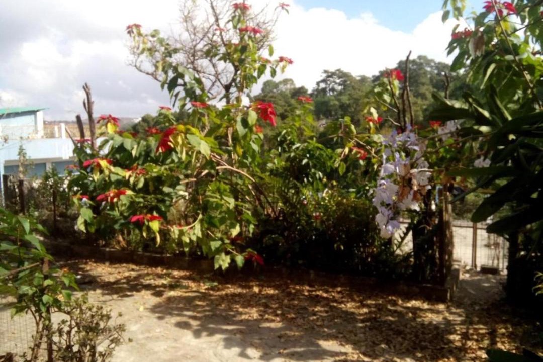 Photo of Outdoor in Laitumkhrah