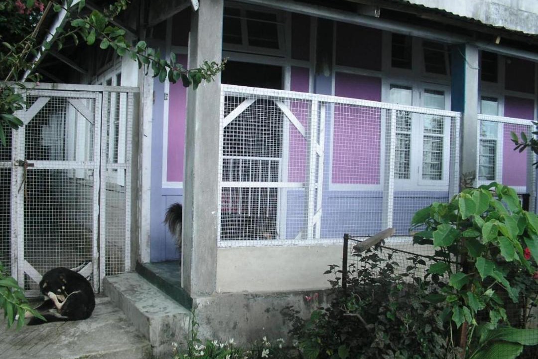 Photo of Buildings in Laitumkhrah